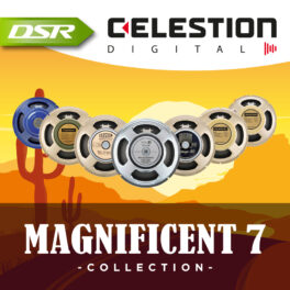 Buy The Magnificent 7 Speaker Responses Collection – DSR